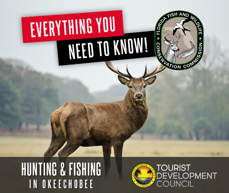 large deer with FWC logo and everything you need to know hunting and fishing in Okeechobee