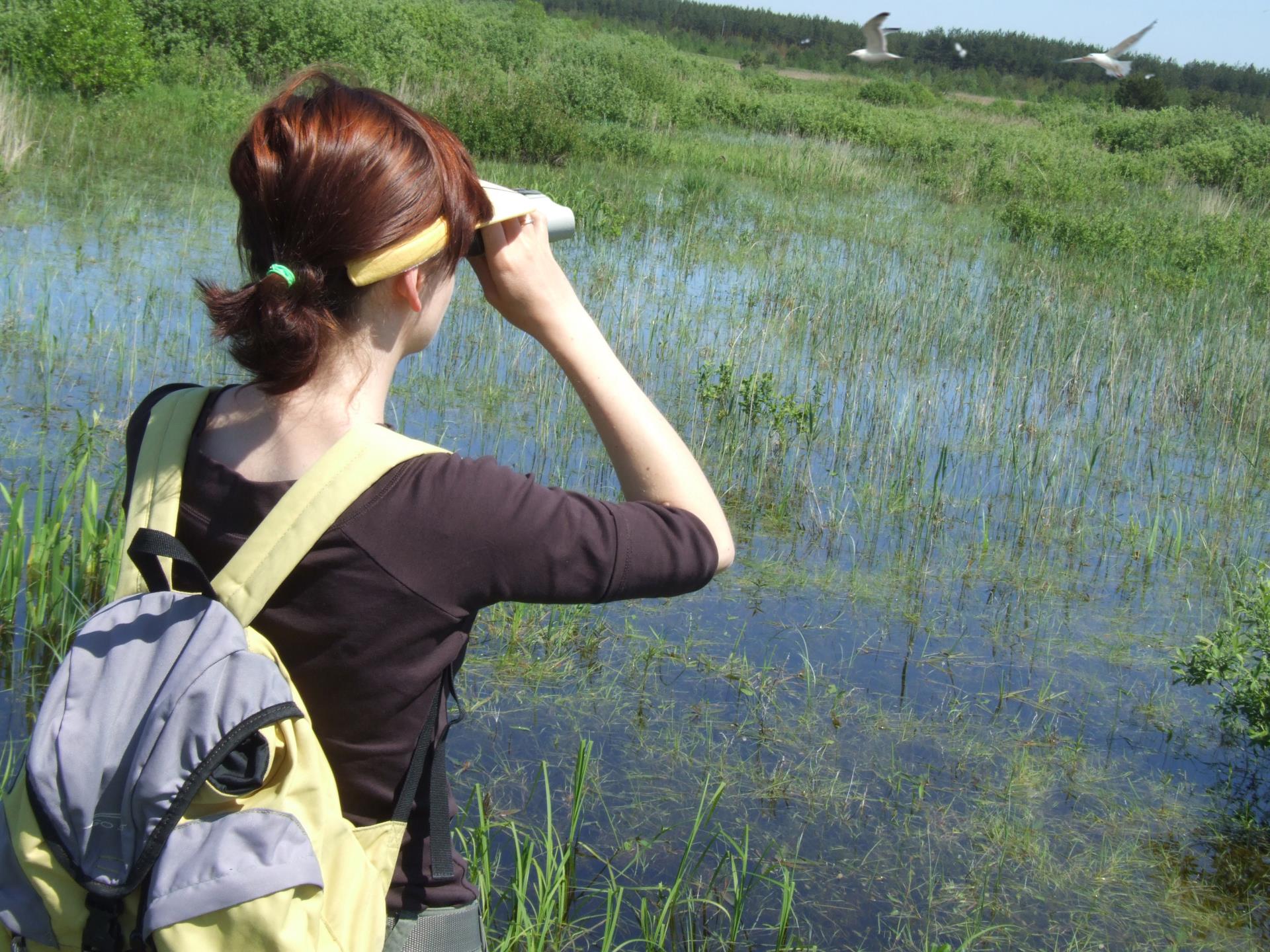 woman with binoculars looking at seagulls
